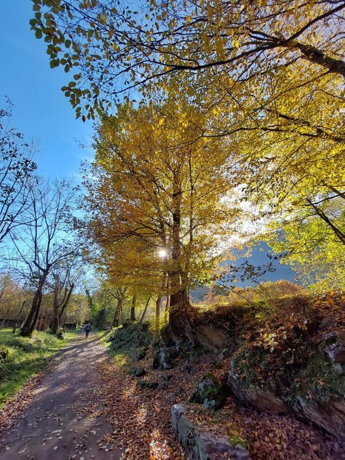 Villaggio Turistico Il Lago Dorato Carlazzo 外观 照片